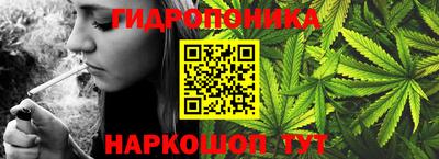 прущие грибы Пушкино