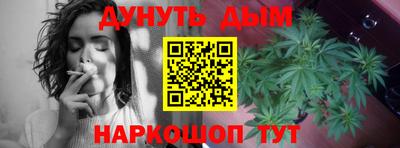 прущие грибы Пушкино